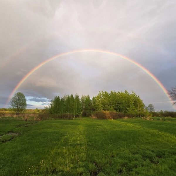 Double rainbow over large field with large bunch of trees