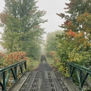 Park trail pictured over bridge pass with trail trees in distant background
