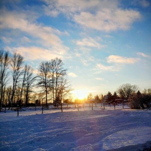 Winter sunrise pictured over snowy field