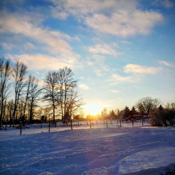 Winter sunrise pictured over snowy field